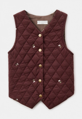 Жилетка Дарси