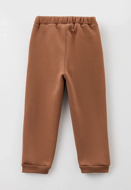 Костюм из свитшота и брюк из футера с начесом