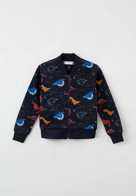 Толстовка на молнии из утепленной ткани с принтом динозаврики