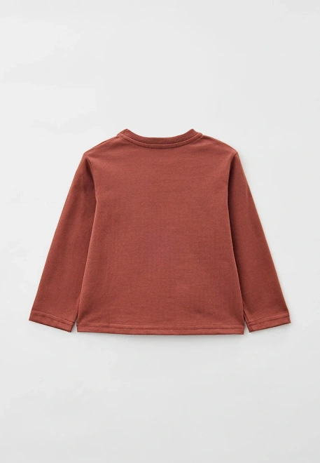 Лонгслив на мальчика из плотной ткани в цвете терракот