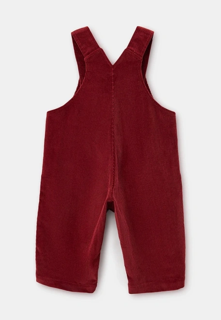 Комбинезон для малышей из вельвета на пуговицах