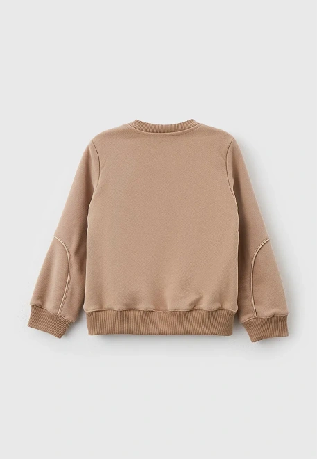 Костюм спортивный из свитшота и брюк из футера с велюр эффектом