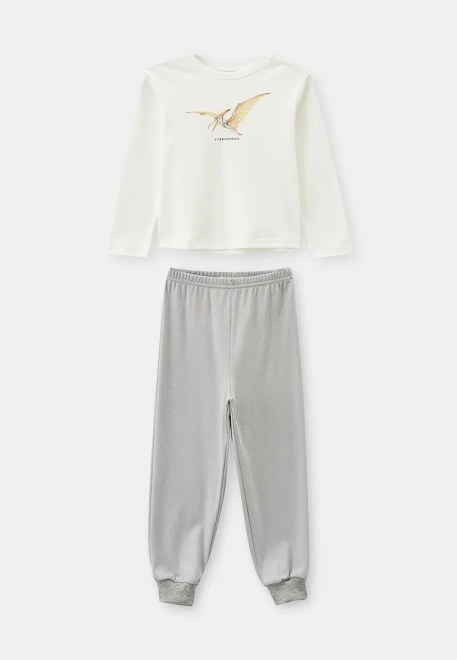 Пижама для мальчиков с принтом в сером цвете