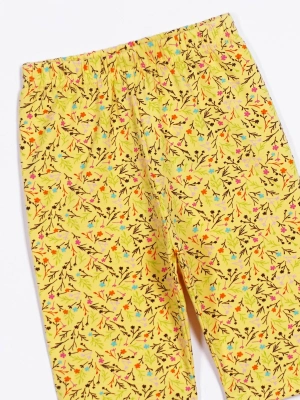 Велосипедки Мун