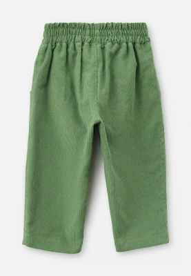 Брюки Кейс из микровельвета в зеленом цвете