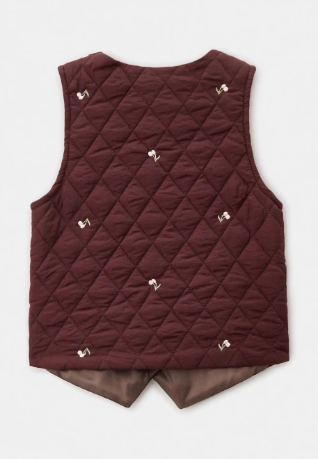 Жилетка Дарси