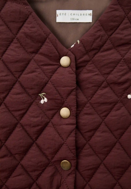 Жилетка Дарси