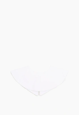 Воротник Дизи