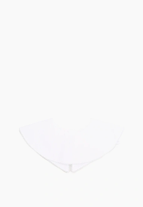 Воротник Дизи