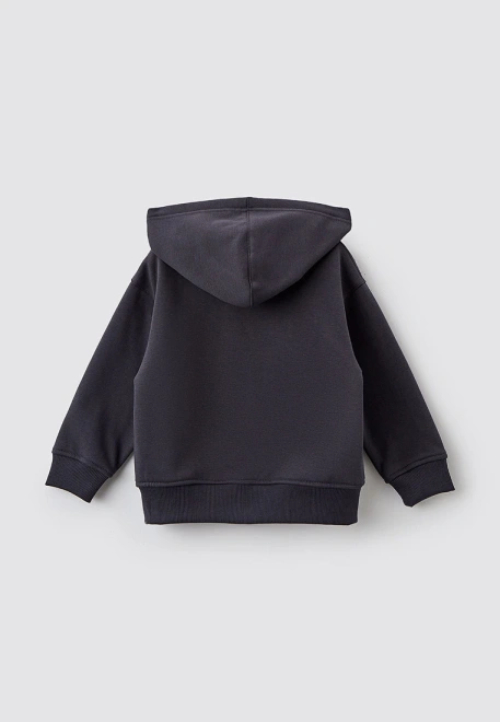 Толстовка с капюшоном на молнии из утепленной ткани 