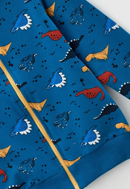 Толстовка на молнии из футера с принтом дино