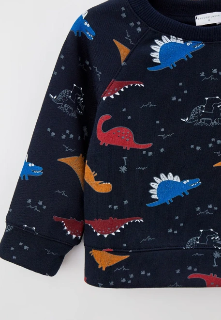 Свитшот из футера с небольшим утеплителем