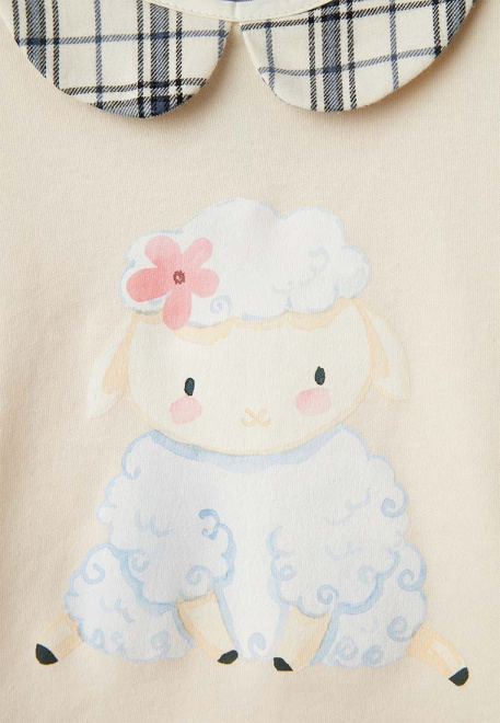 Комплект Кито