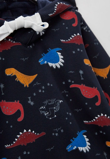 Худи с небольшим утеплителем принт цветные динозаврики