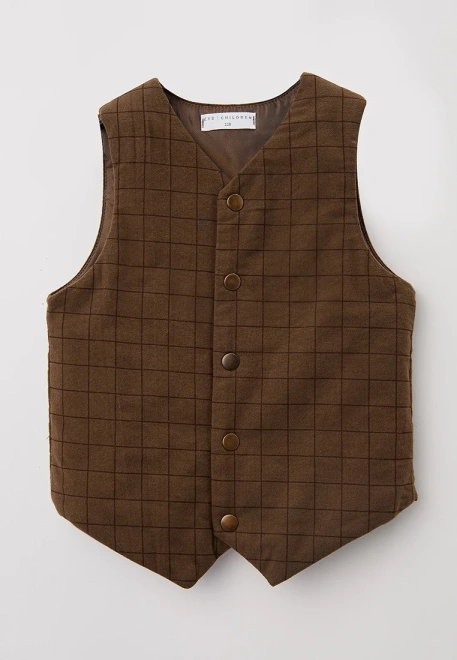 Жилет в клетку классический  с тонким утеплителем 