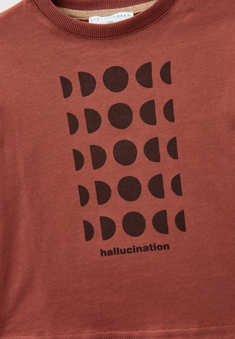 Лонгслив на мальчика из плотной ткани в цвете терракот