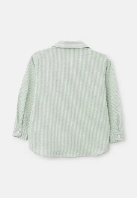 Рубашка Денди из хлопка в зеленом и белом цвете