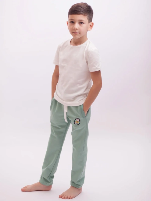 Брюки спортивные на мальчика 