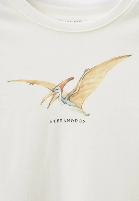 Пижама для мальчиков с принтом в сером цвете