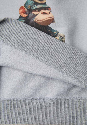 Свитшот Ирис