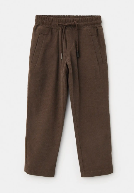 Брюки Гимли из микровельвета в коричневом цвете