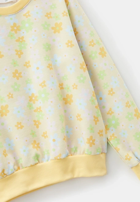 Комплект брюки и свитшот из двунитки