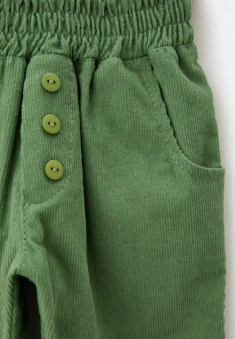 Брюки Кейс из микровельвета в зеленом цвете