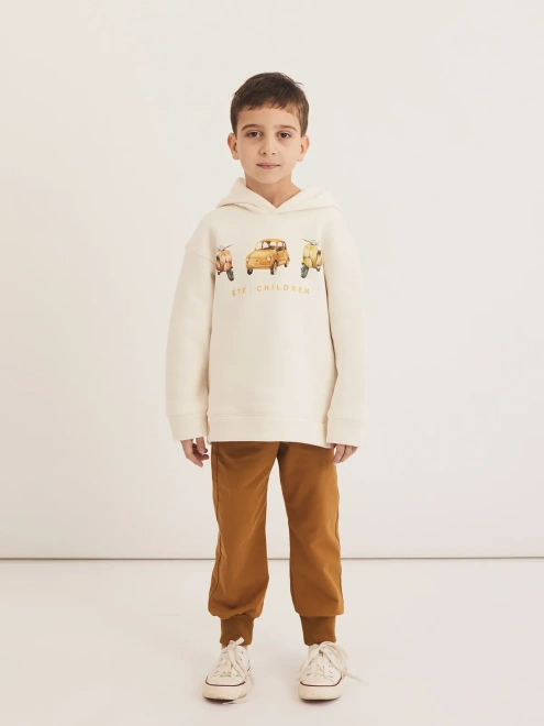 Толстовка с капюшоном из утепленной ткани с рисунком машинка и мопеды