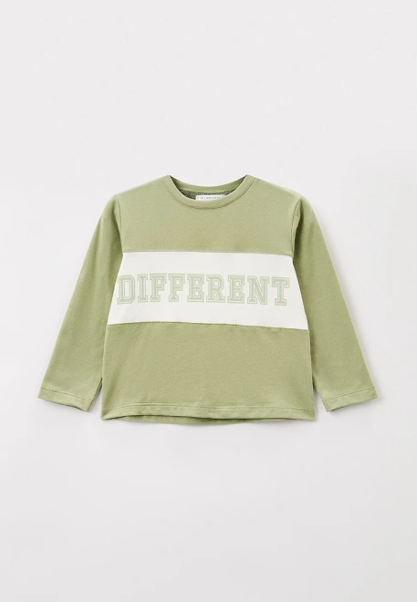 Лонгслив трикотажный для мальчика с надписью