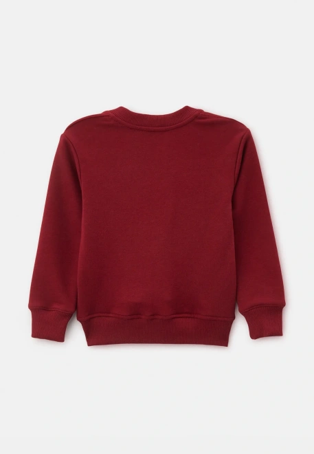 Свитшот Бард