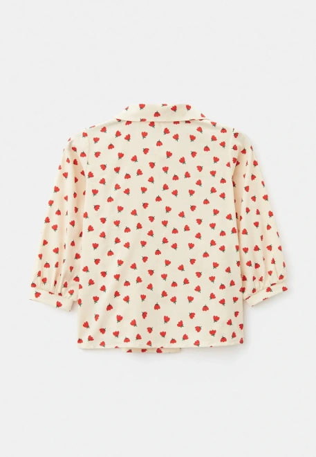 Блузка Исла